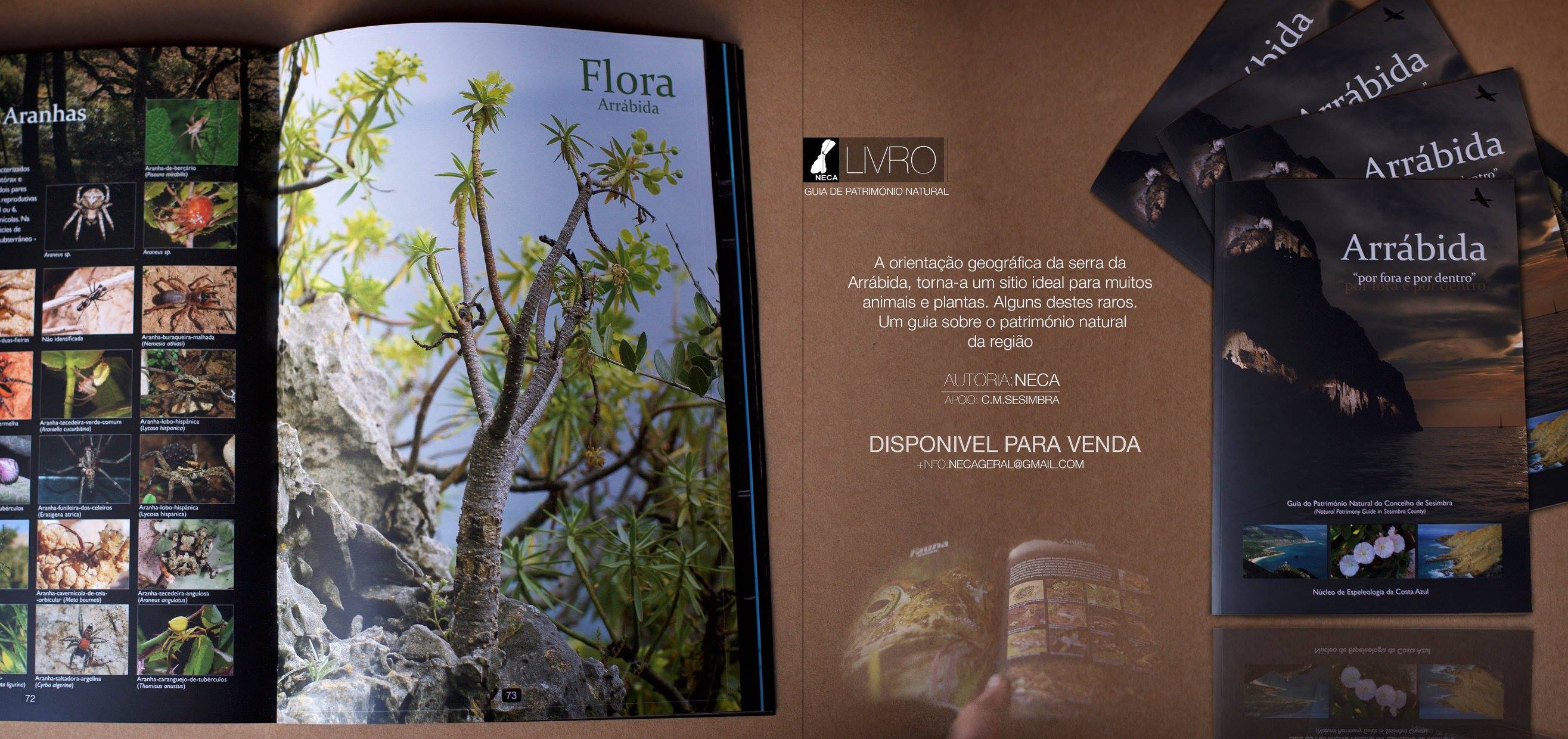 Equipamento de espeleologia
