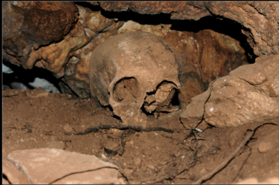 Arqueologia - Vestígios do passado nas cavernas