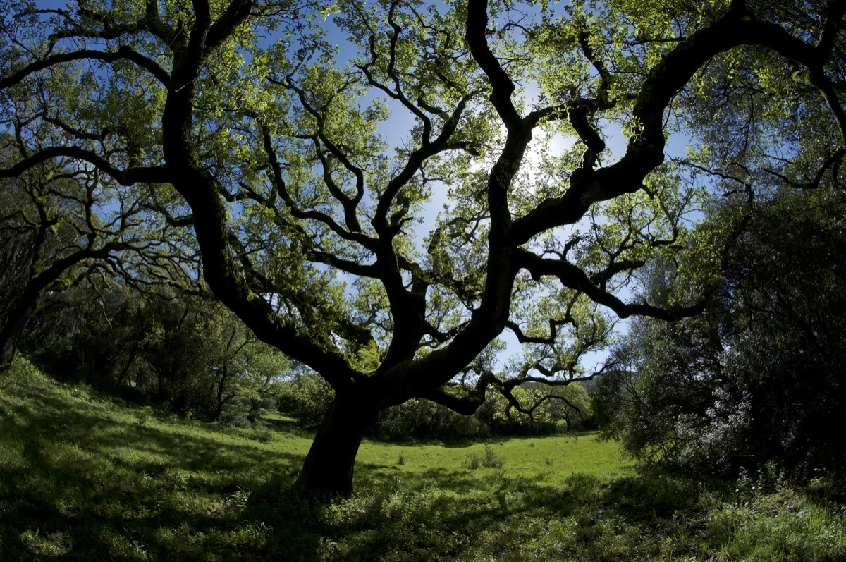 Paisagem exterior da Arrábida