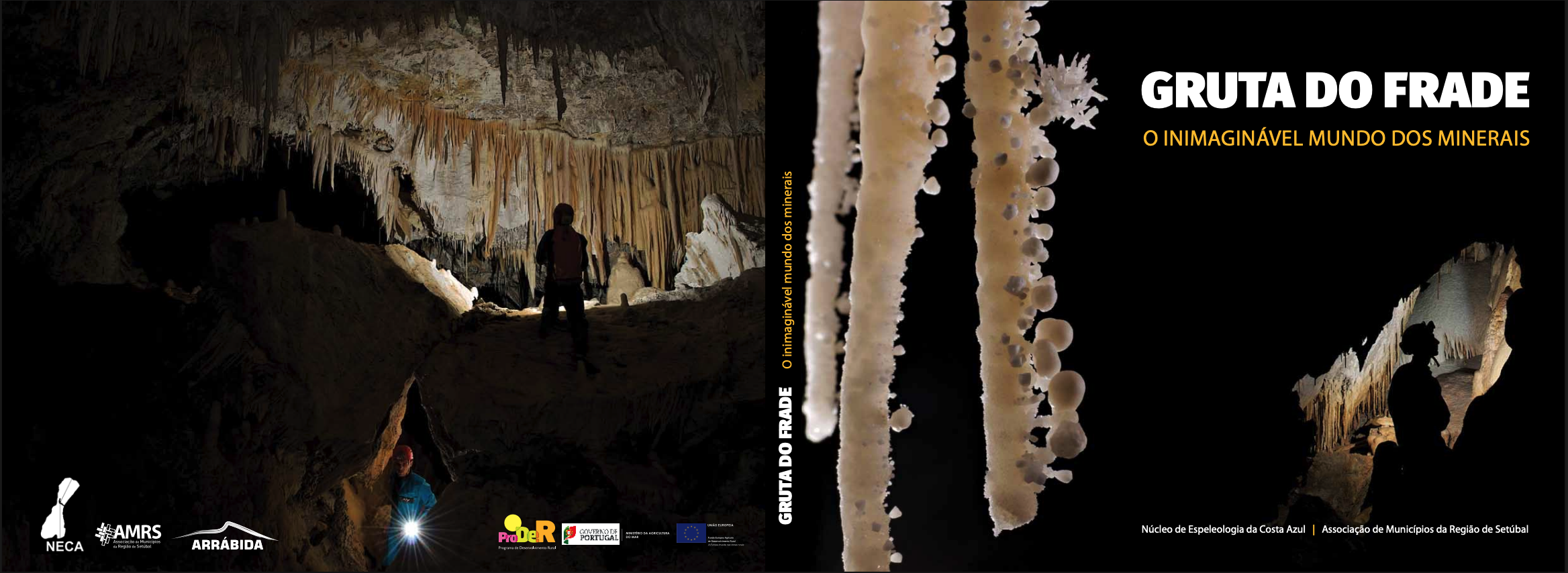 Revista NECA