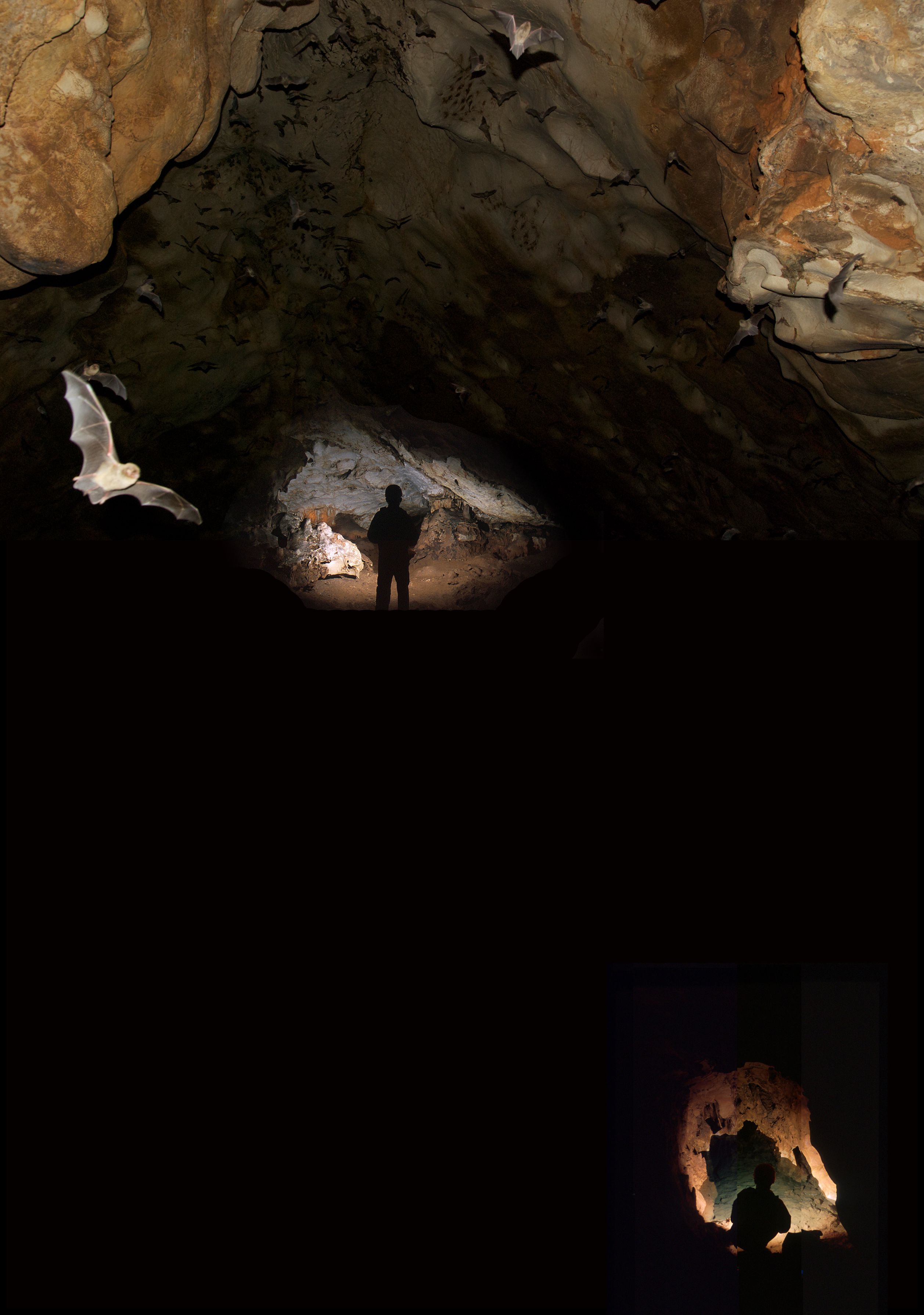 Gruta dos Morcegos - Vista 3