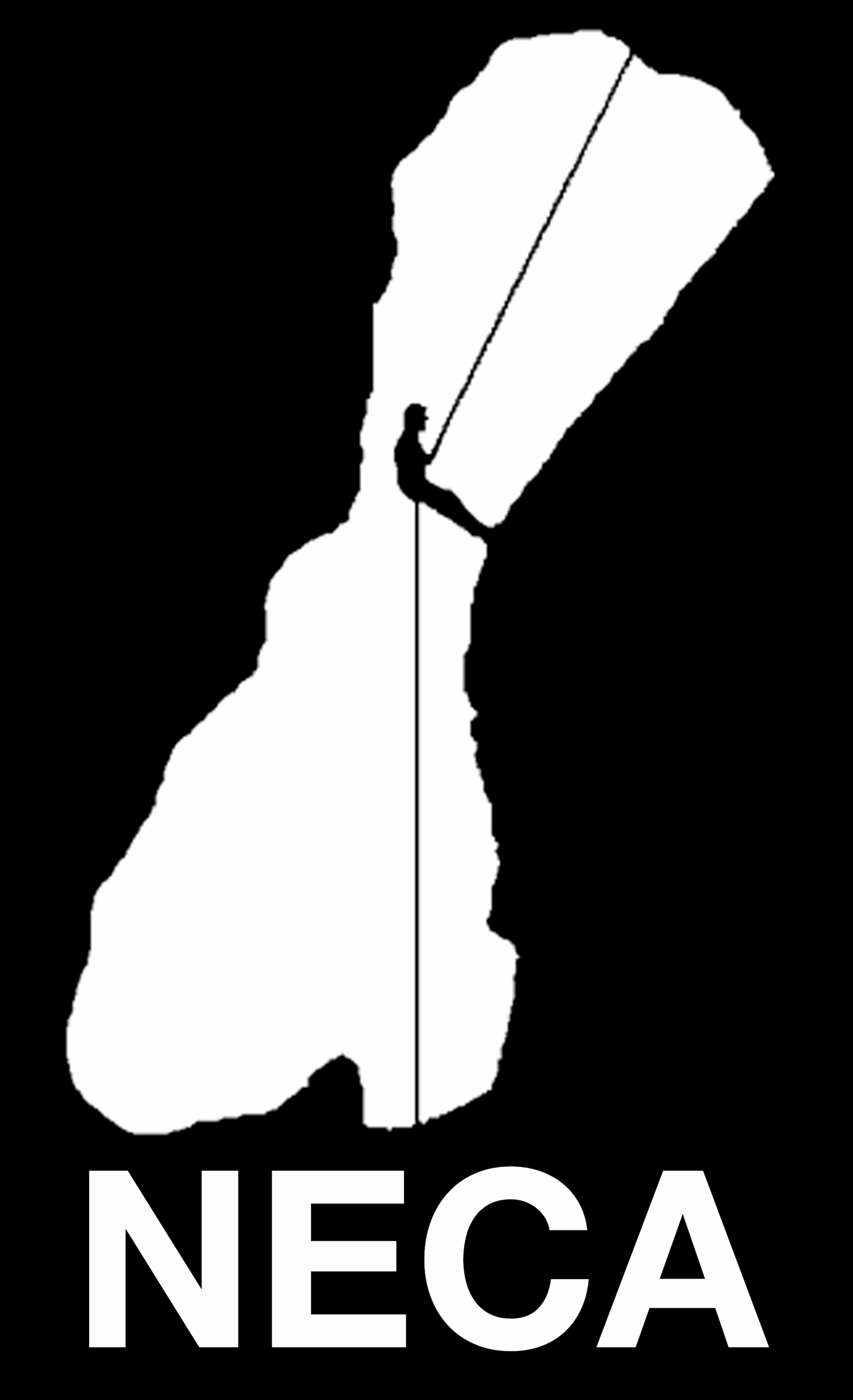 NECA Logo
